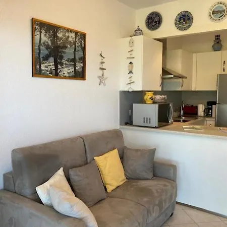 Appartamento T2 Climatisé Proche Avec Parking - - Fr-1-308-181 Le Lavandou